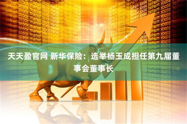天天盈官网 新华保险：选举杨玉成担任第九届董事会董事长