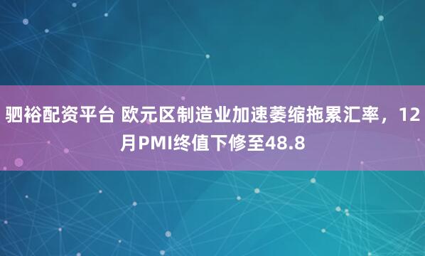 驷裕配资平台 欧元区制造业加速萎缩拖累汇率，12月PMI终值下修至48.8